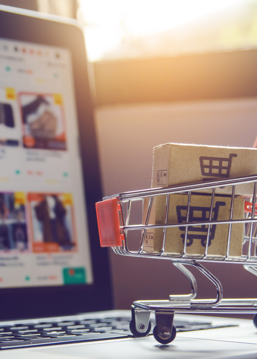E-Ticaret Gönderileri